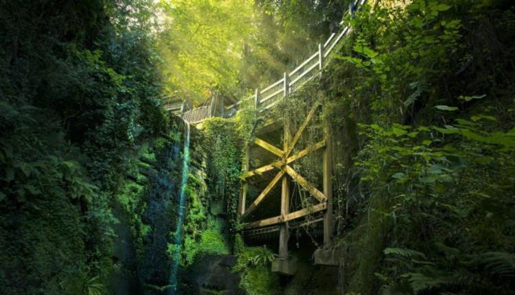Little Treasure With Up To 25 Percent Off Ferry *